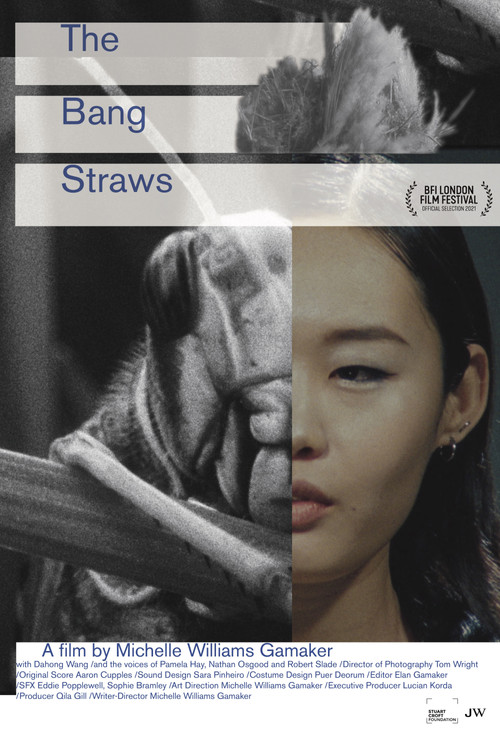 The Bang Straws (2021) poster