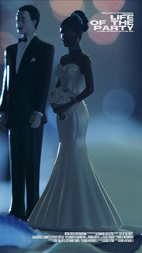 Life of the Party (2017) poster