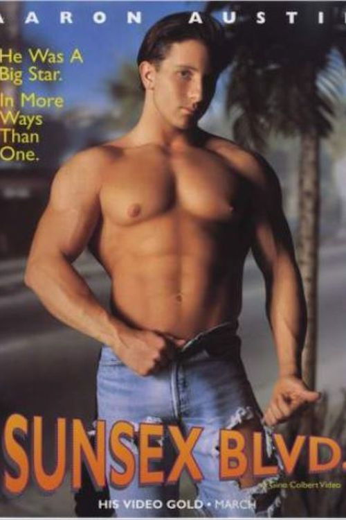 Sunsex Blvd (1994) poster