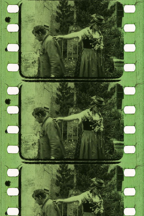 Der Sonnwendhof (1918) poster