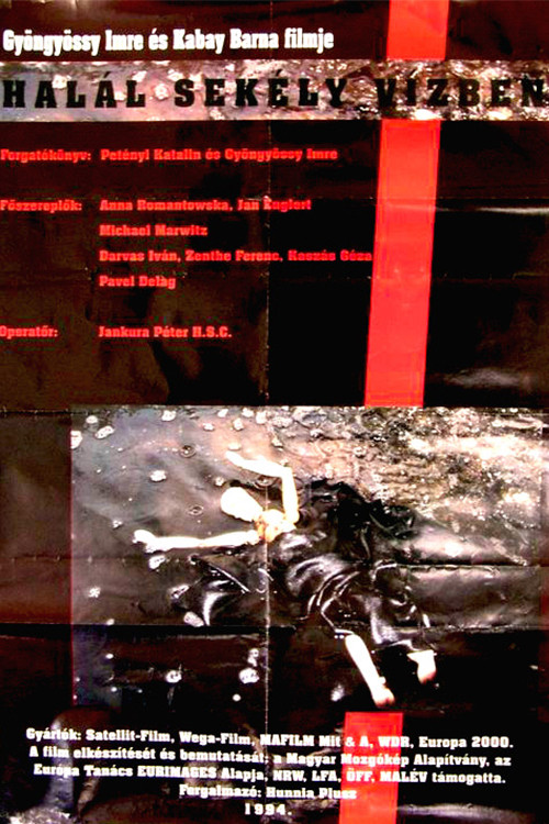 Death in Shallow Water (1994) poster