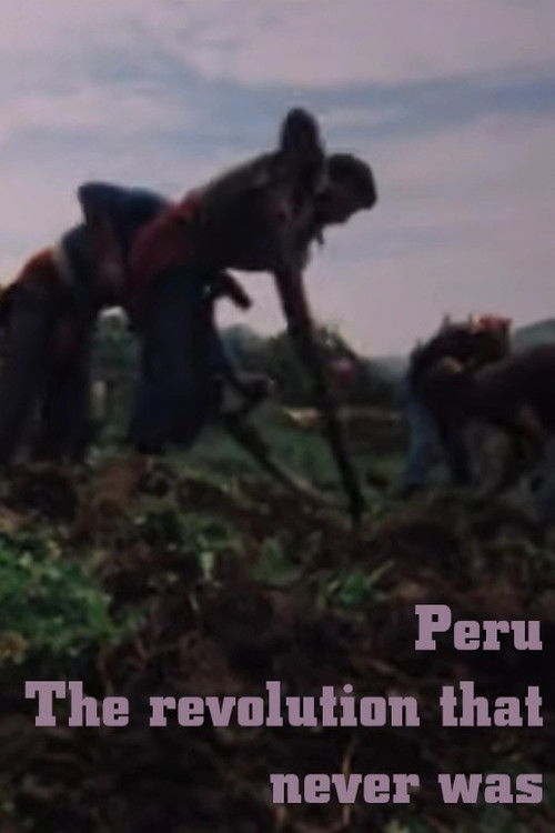 Peru: The Revolution that never was (1979) poster