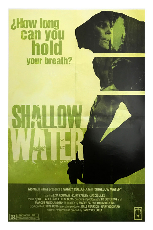 Shallow Water (2017) poster