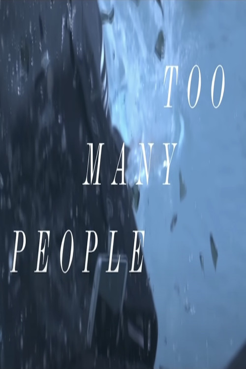 Placebo: Too Many Friends (2013) poster