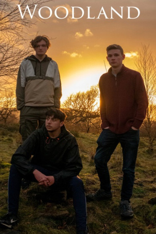 Woodland (2022) poster