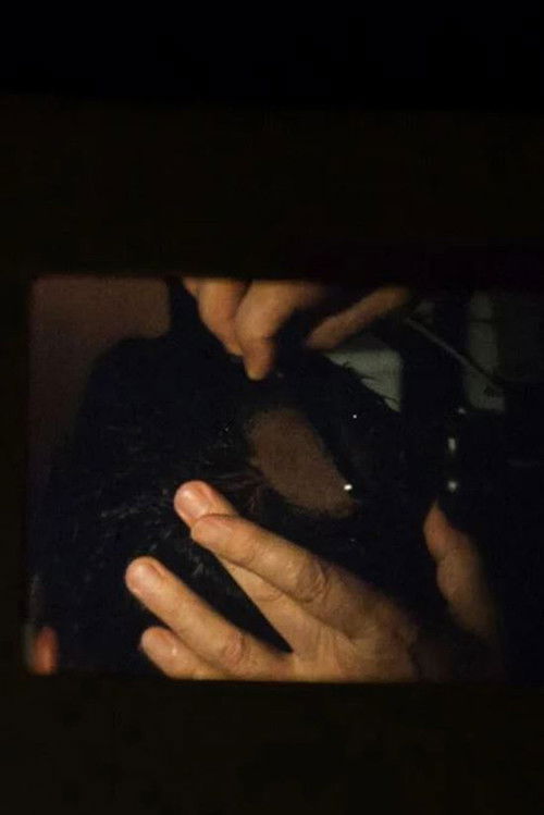 The Initiate (2008) poster