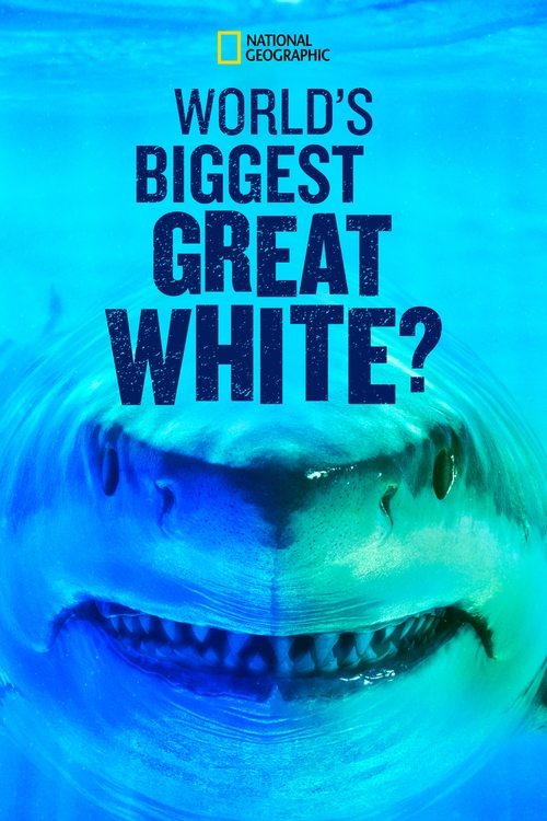 World's Biggest Great White? (2019) poster