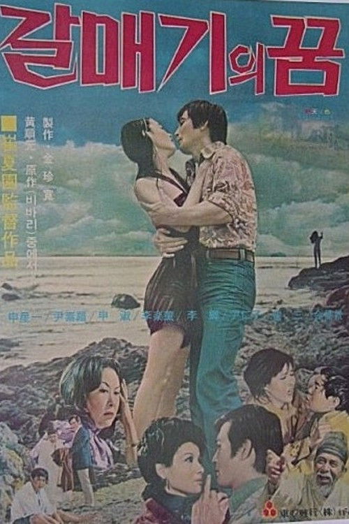 A Seagull's Dream (1974) poster