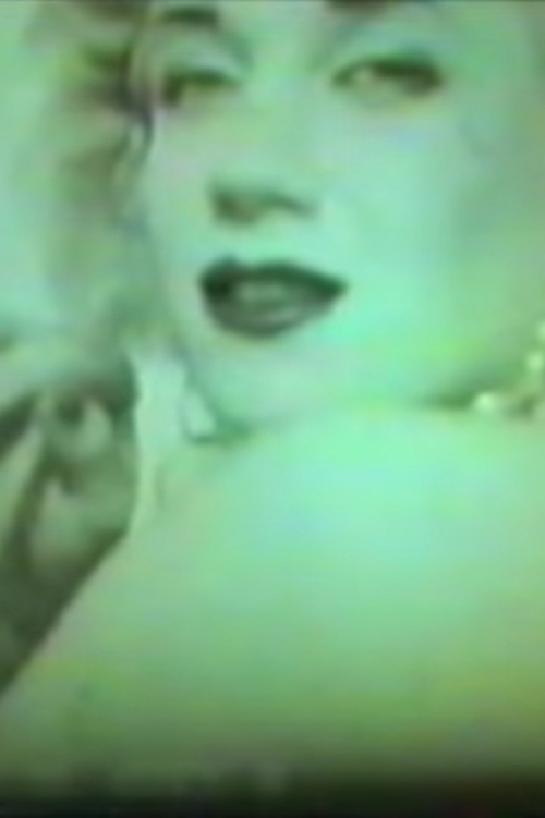 January Blizzard (1991) poster