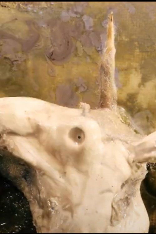 The Song the Unicorn Listens To (2018) poster