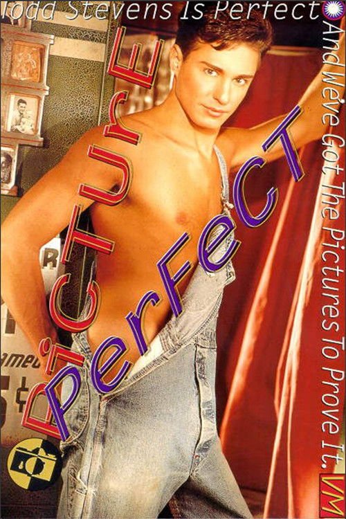 Picture Perfect (1996) poster