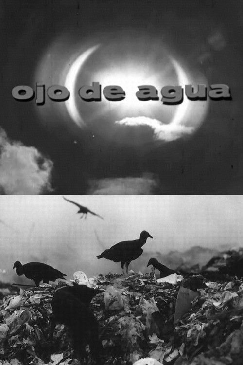 Ojo de Agua (1972) poster