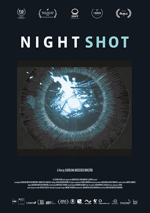 Night Shot (2019) poster