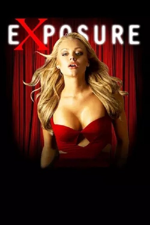 Exposure (2013) poster