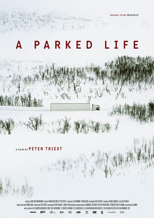 A Parked Life (2022) poster