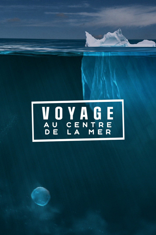 Voyage au centre de la mer (2013) poster
