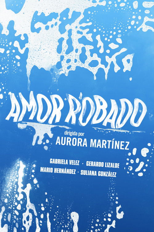 Stolen Love (2015) poster