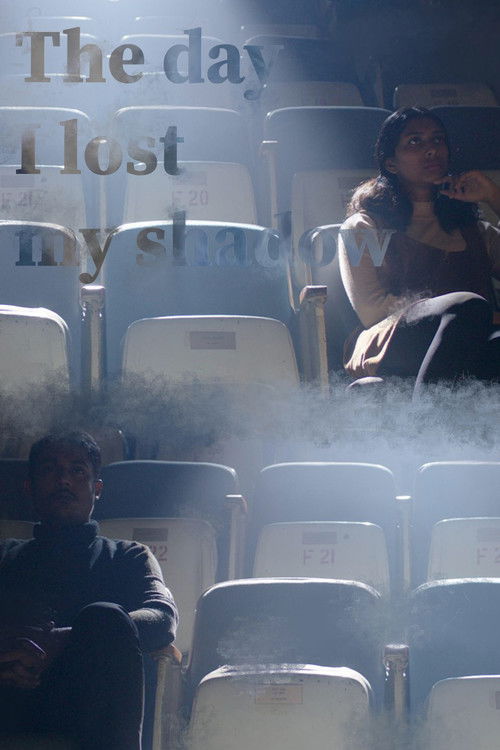 The Day I Lost My Shadow (2016) poster