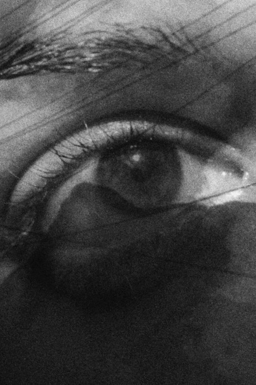 Looking through a Glass Darkly (2023) poster