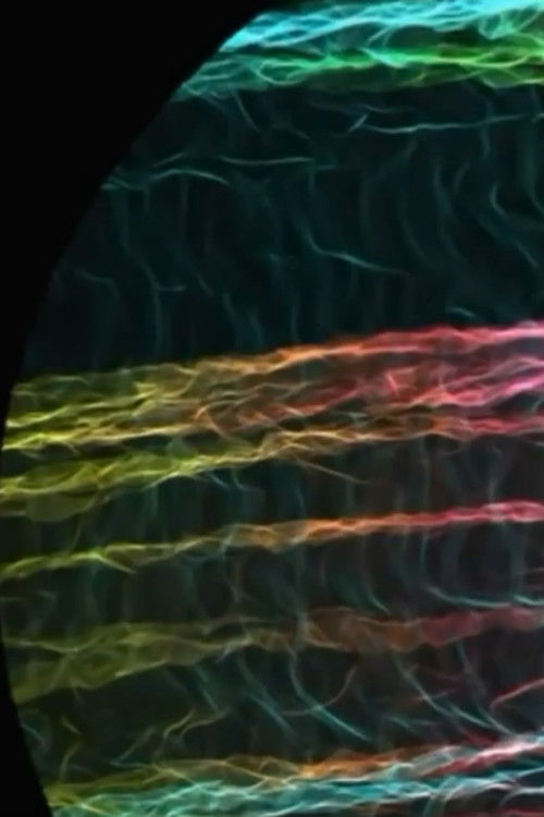 How to Scramble The Cosmic Egg's (2016) poster