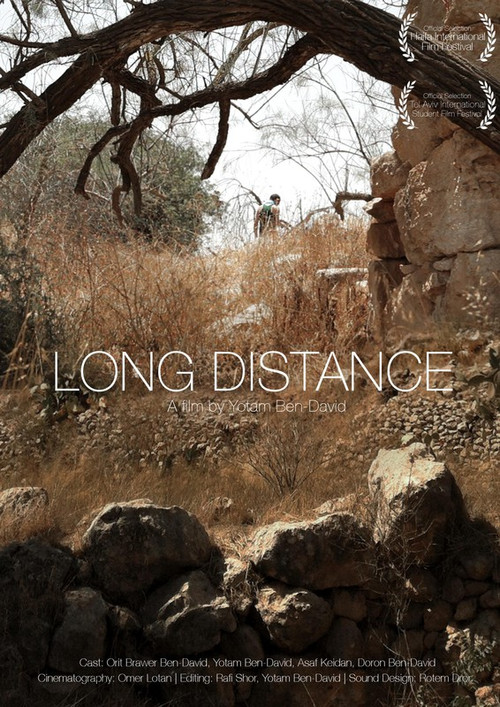 Long Distance (2015) poster