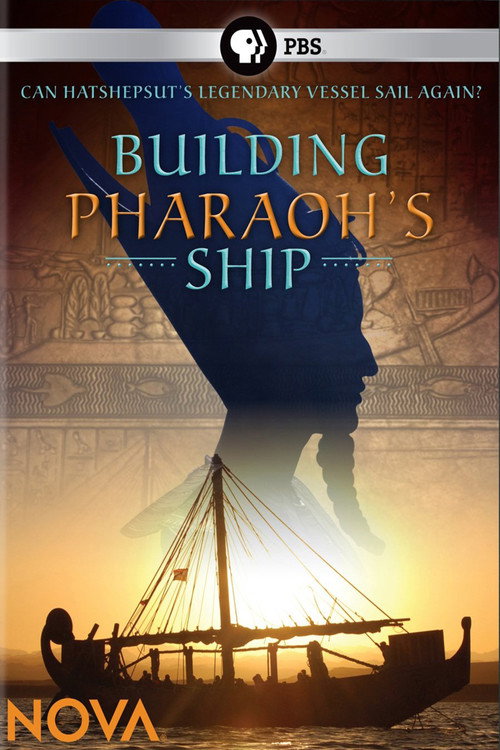 Building Pharaoh's Ship (2010) poster