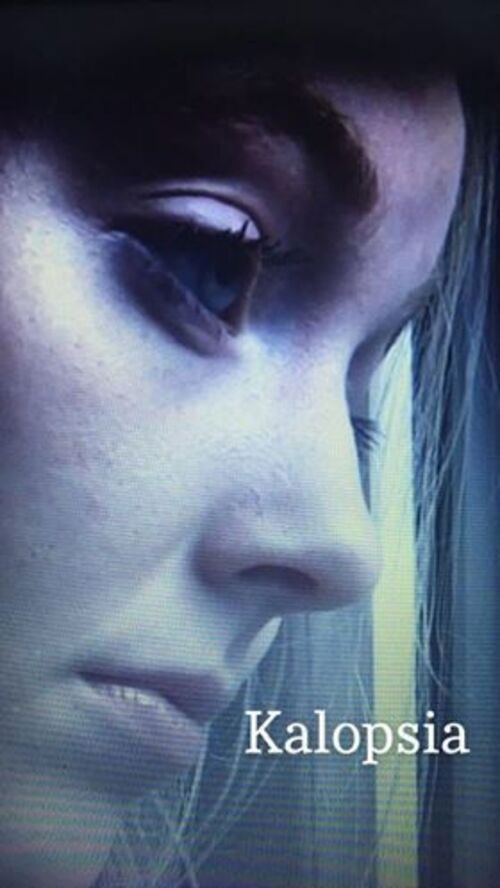 Kalopsia (2014) poster