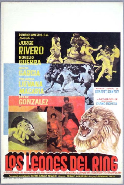 Los leones del ring (1974) poster