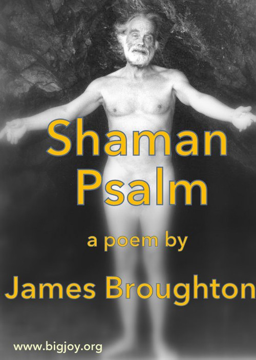 Shaman Psalm (1981) poster
