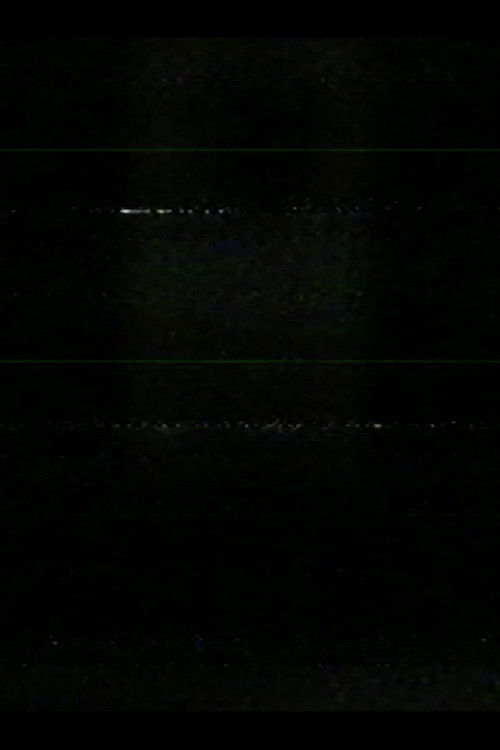 window at night (2025) poster