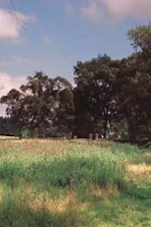 Praktyczne wskazówki dla zbieraczy motyli (1980) poster