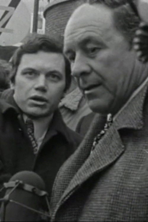 S.O.S. Fonske (1968) poster