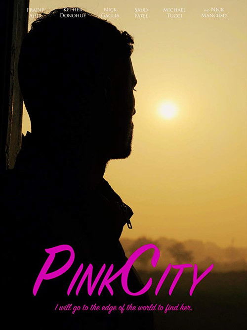 PinkCity: A Psychedelic Meditation (2024) poster