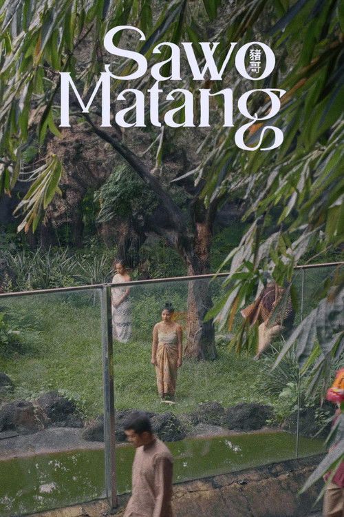 Sawo Matang (2023) poster