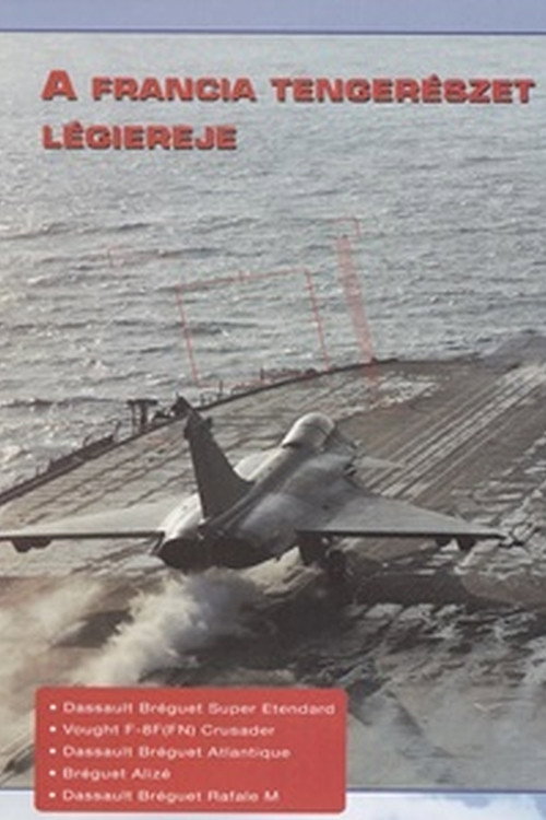 Combat in the Air - French Naval Air Power (1996) poster