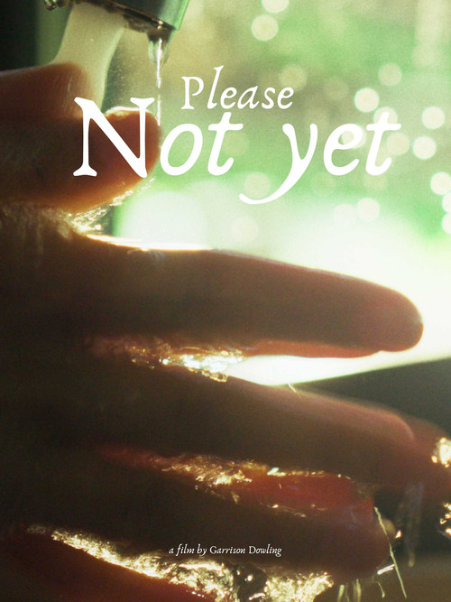 Please, Not Yet (2025) poster