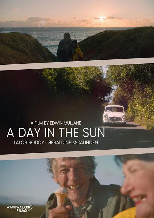 A Day in the Sun poster