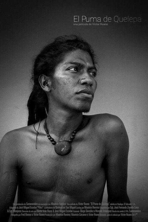 El Puma de Quelepa (2017) poster