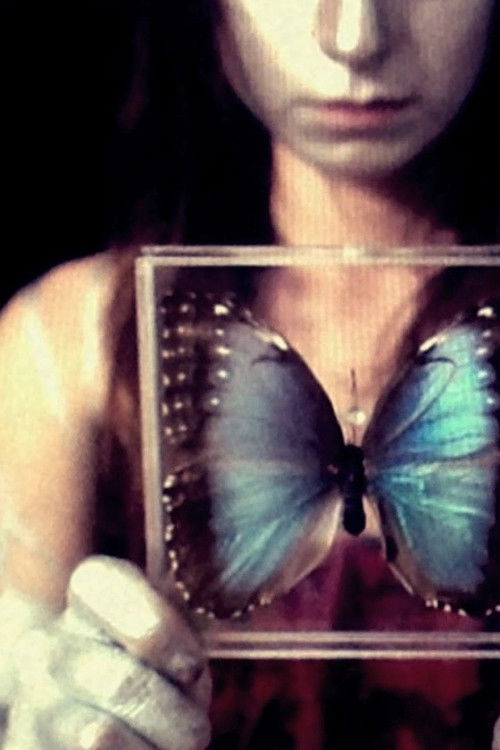 Kosmische Puppen 3 (2012) poster