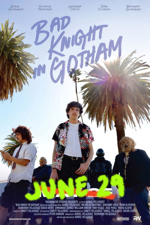 Bad Knight In Gotham (2024) poster