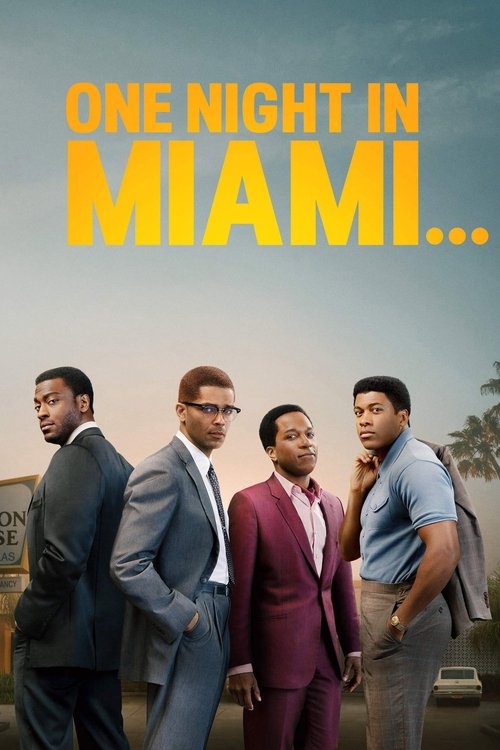 Miami'de Bir Gece... (2020) poster