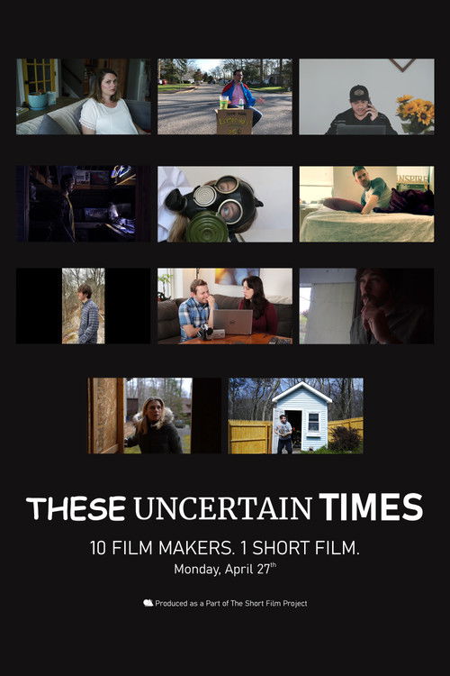 These Uncertain Times (2020) poster