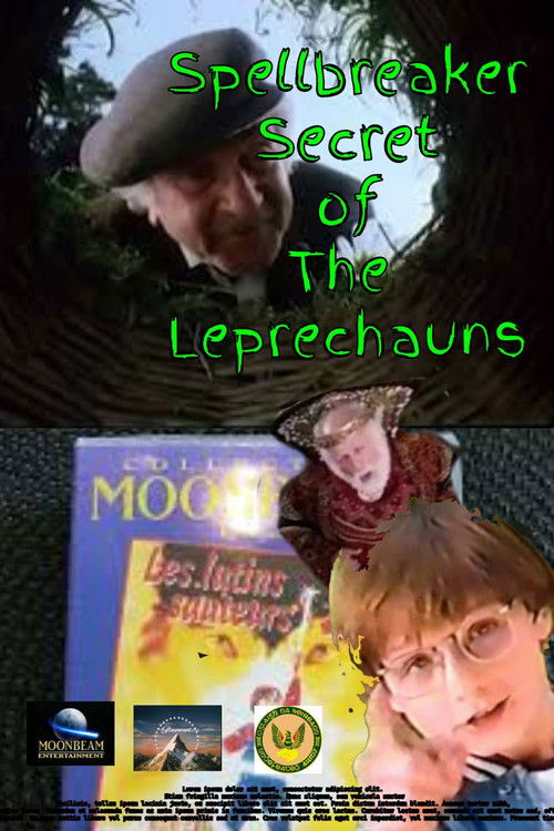 Spellbreaker: Secret of the Leprechauns (1996) poster