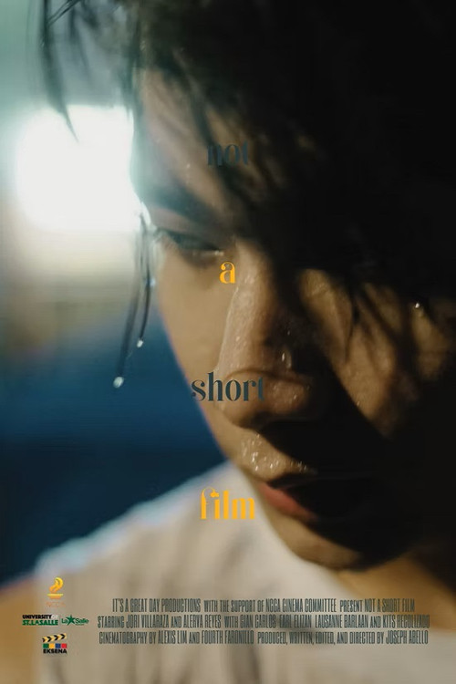 Not a Short Film (2022) poster