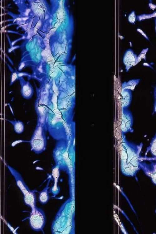 The Cracked Share (2006) poster