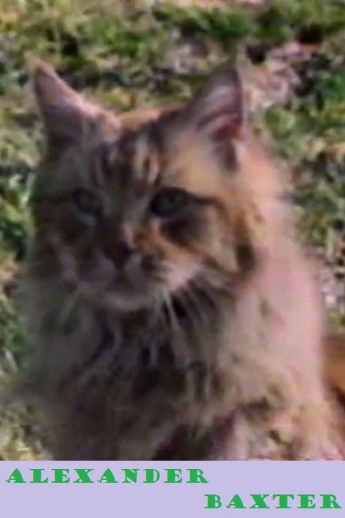 Alexander Baxter (1987) poster