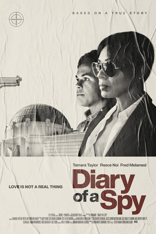 Diary of a Spy (2022) poster