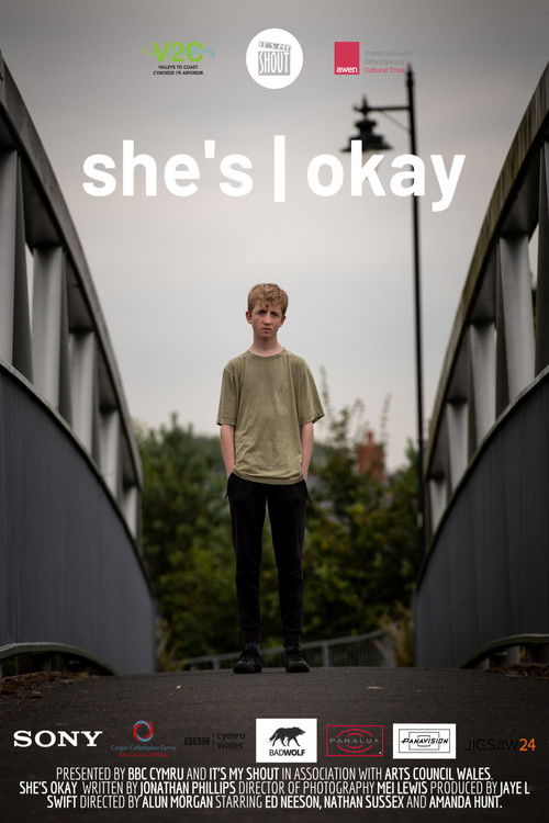 She's Okay (2019) poster