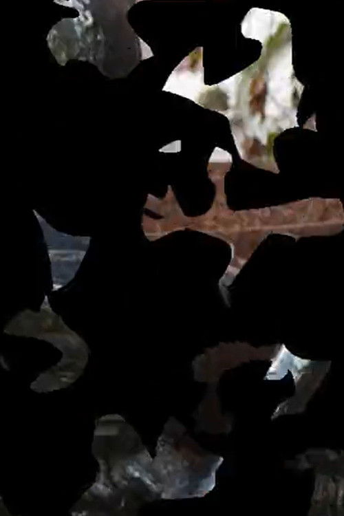 Ornithology 4 (2015) poster