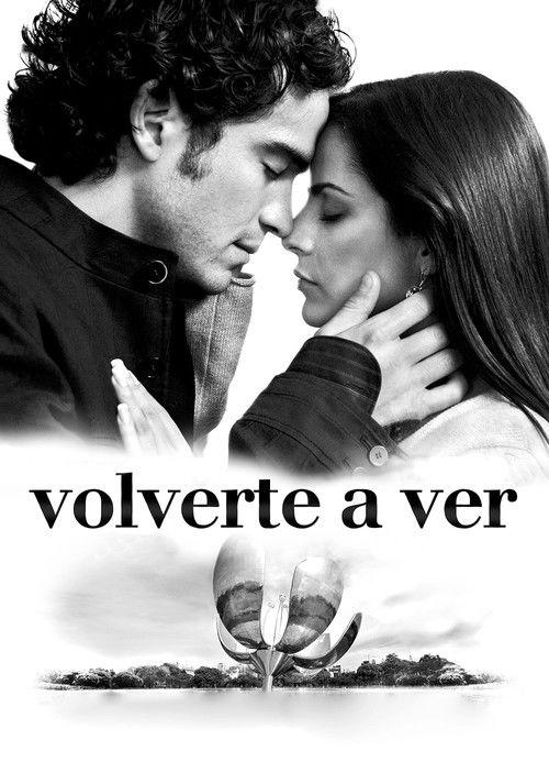 Volverte a ver (2008) poster